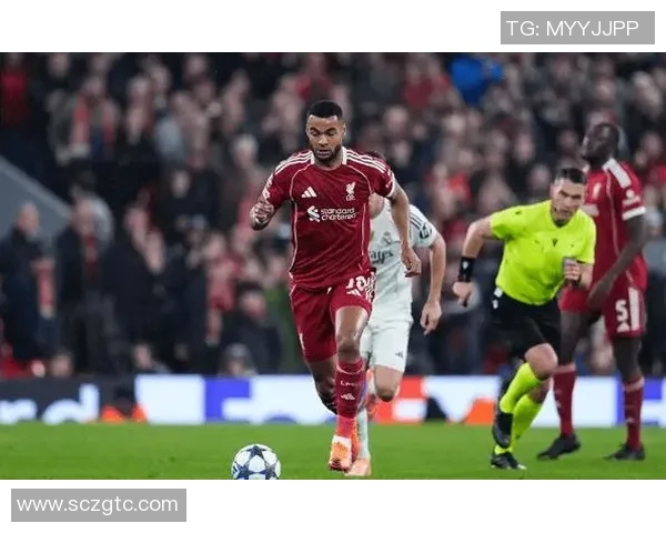 本菲卡迎战里奥阿维葡萄牙杯争夺战精彩纷呈期待胜利之夜